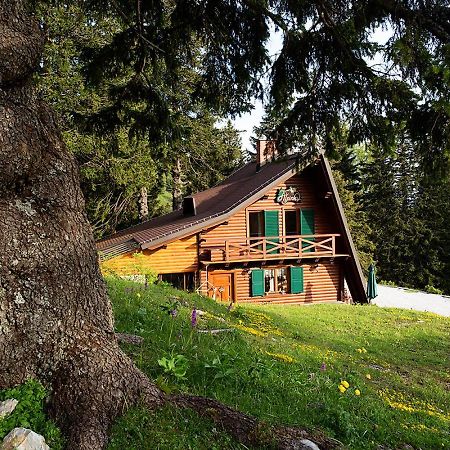 Chalet Alpinka Церкле на Горенскем Екстериор снимка