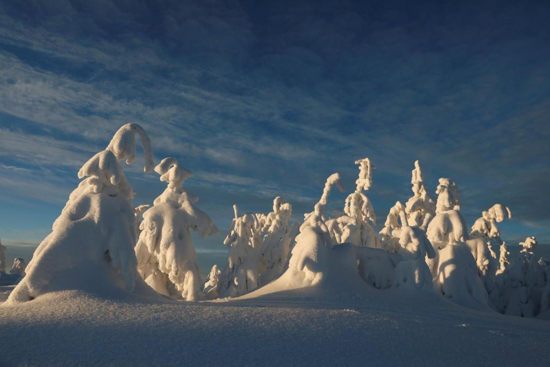 Chalet Alpinka Церкле на Горенскем Екстериор снимка