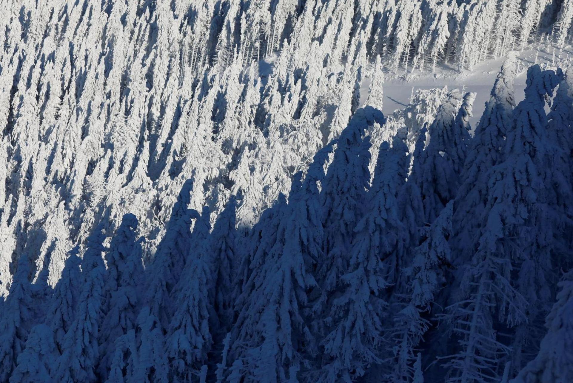 Chalet Alpinka Церкле на Горенскем Екстериор снимка