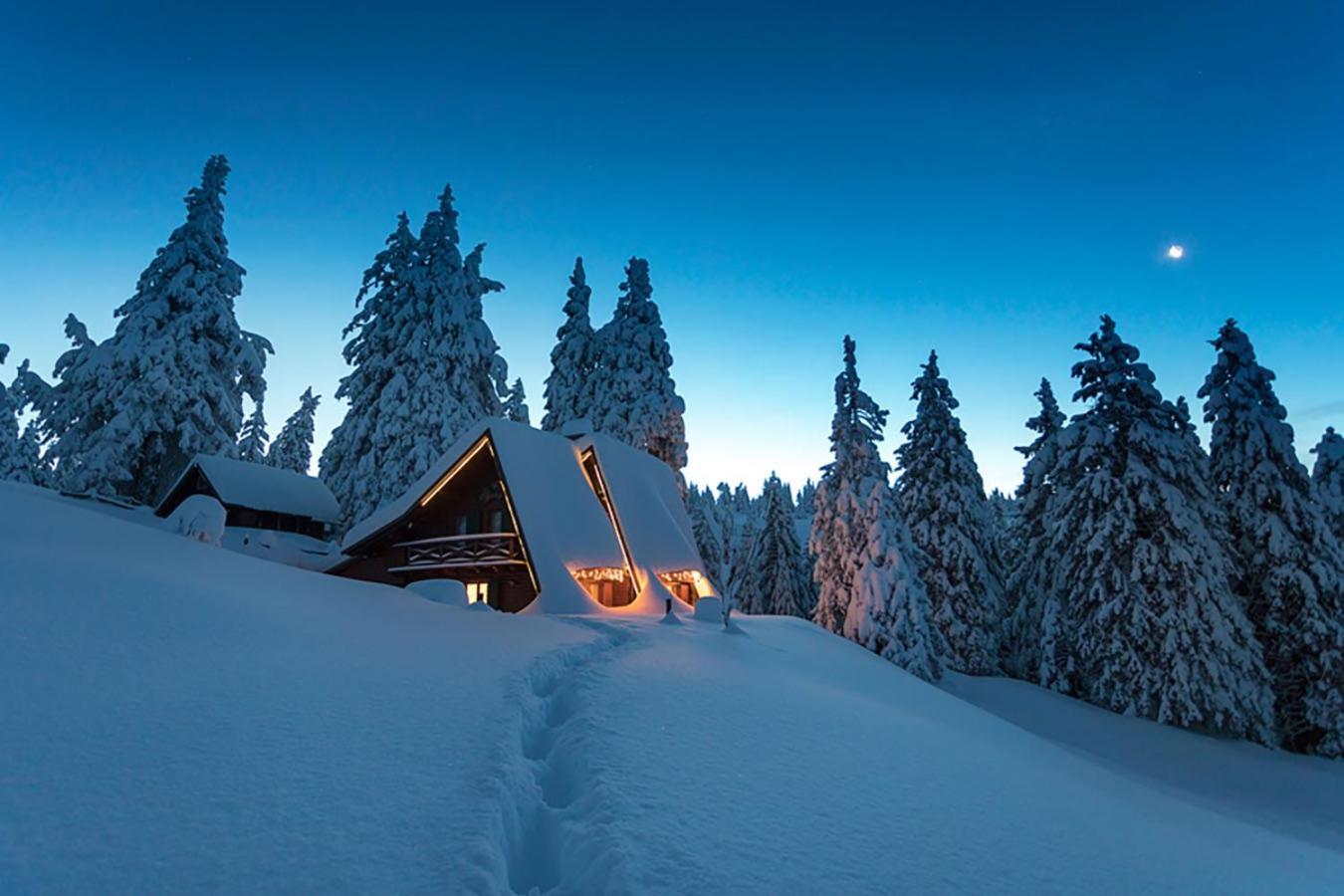 Chalet Alpinka Церкле на Горенскем Екстериор снимка