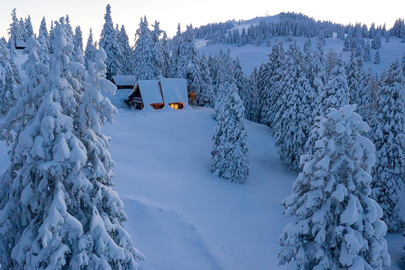 Chalet Alpinka Церкле на Горенскем Екстериор снимка