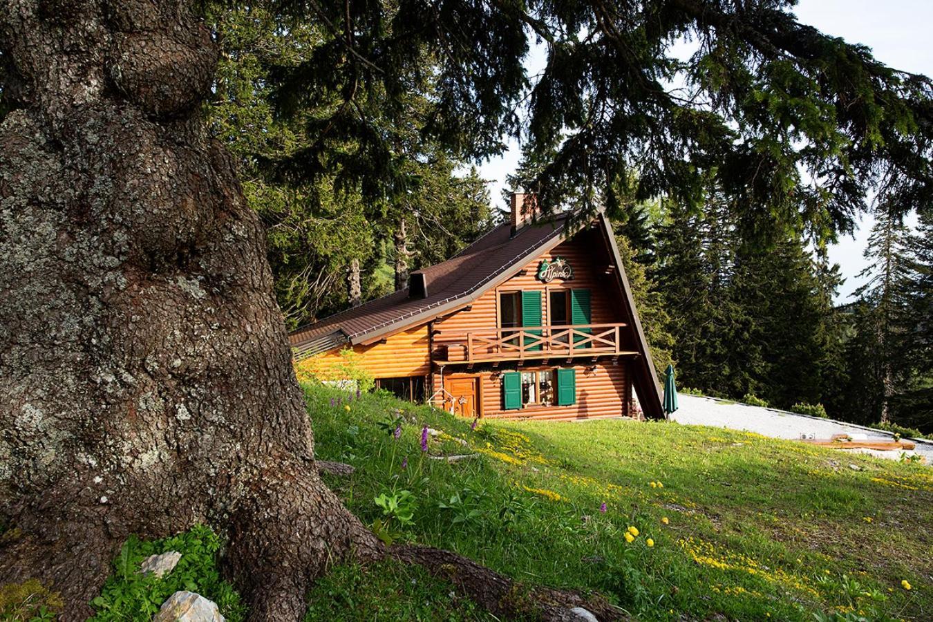 Chalet Alpinka Церкле на Горенскем Екстериор снимка
